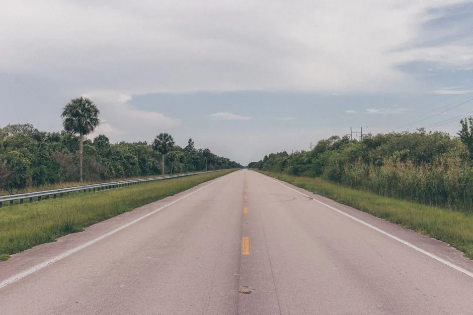 Straight highway lined with palm trees under a cloudy sky